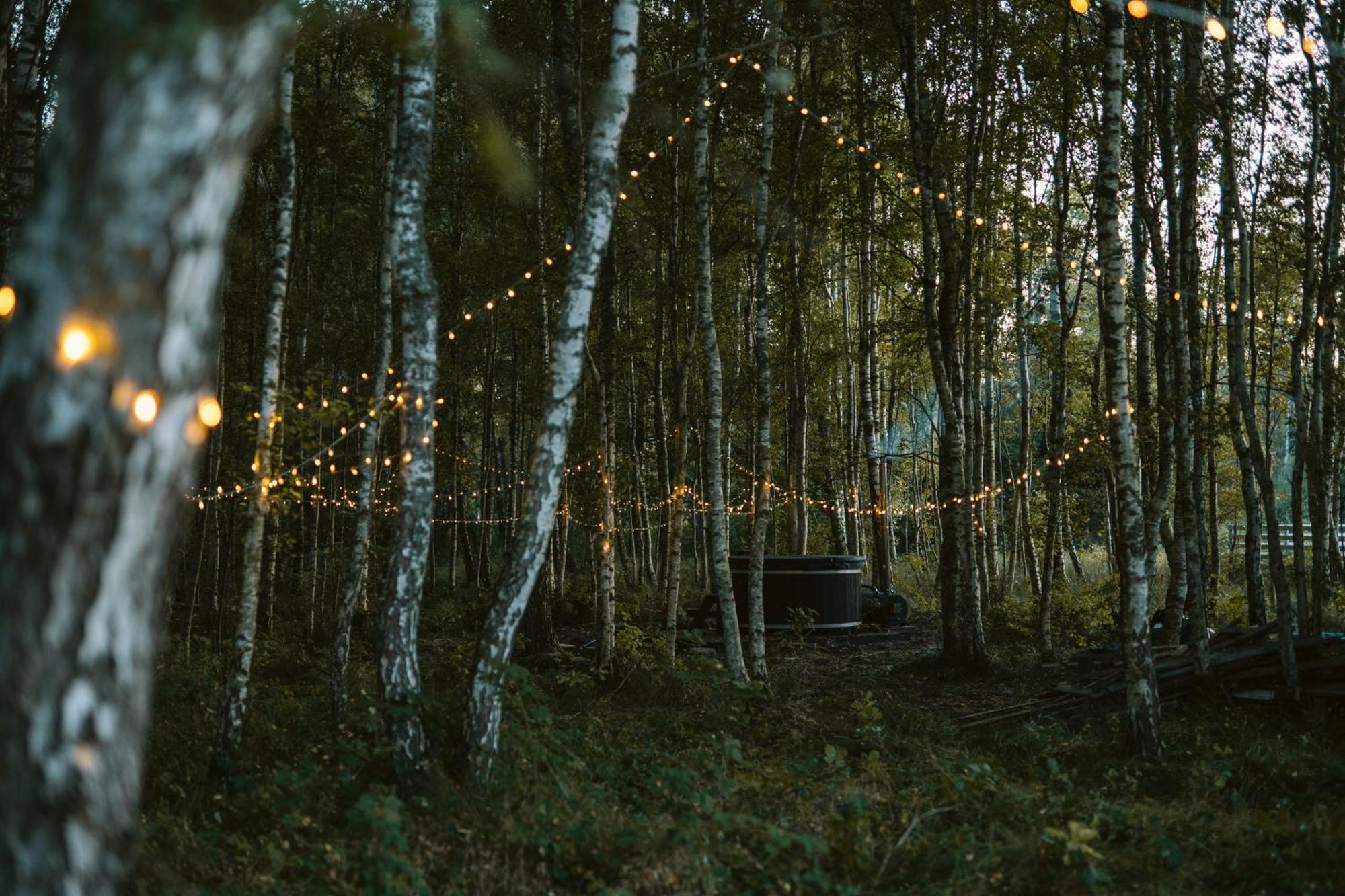 Czas na Las Zarnowska Exterior foto